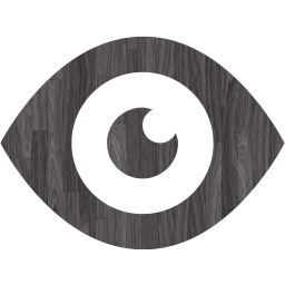 eye 2 icon