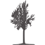 tree 42