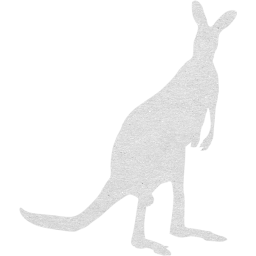 kangaroo 2 icon
