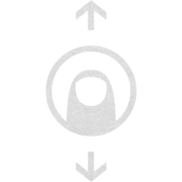 vertical drag icon