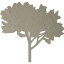 tree 60
