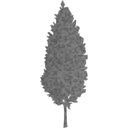 tree 45 icon