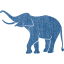 elephant 6