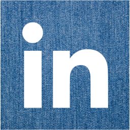 linkedin 2 icon