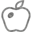 apple 3