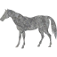 horse 4