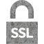 ssl badge 4