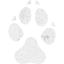 footprints dog