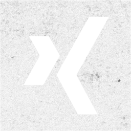 xing 2 icon