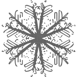 snowflake 49 icon