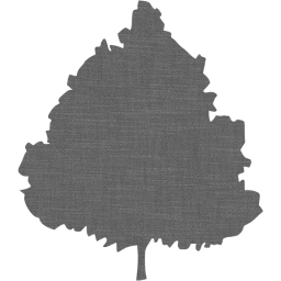 tree 47 icon