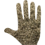 whole hand
