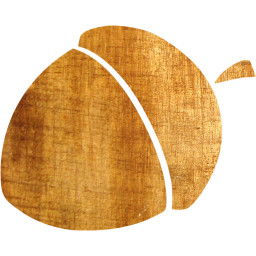 acorn 7 icon