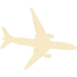 airplane 10 icon