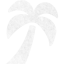 palm tree 3