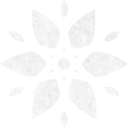snowflake 23 icon