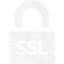 ssl badge 4