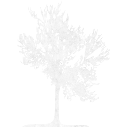 tree 23 icon