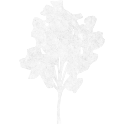 tree 30 icon