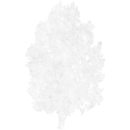 tree 76 icon