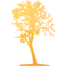 tree 16 icon