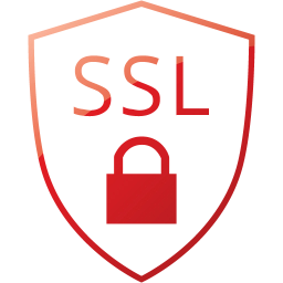 ssl badge icon