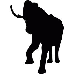 Black elephant 2 icon - Free black animal icons