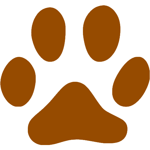 Brown cat icon - Free brown animal icons