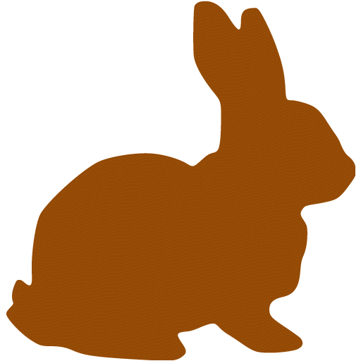 Brown Bunnies Pics