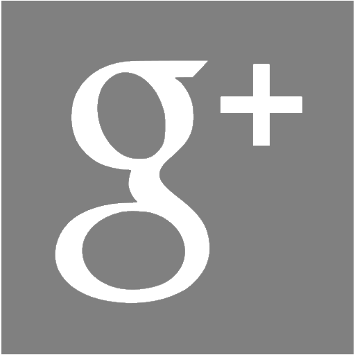 Gray Google Plus 2 Icon Free Gray Social Icons