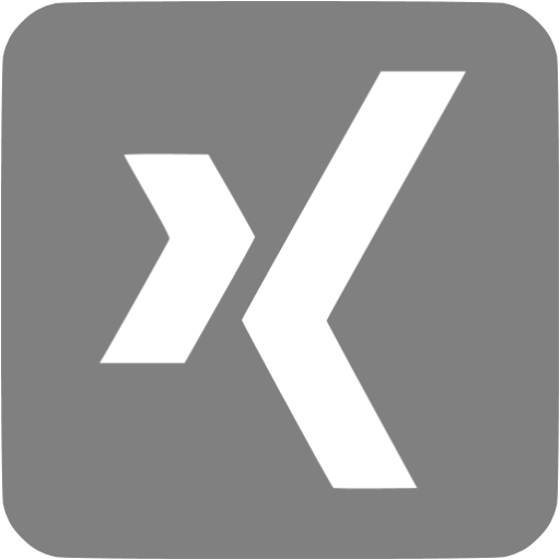 Gray xing 3 icon - Free gray site logo icons