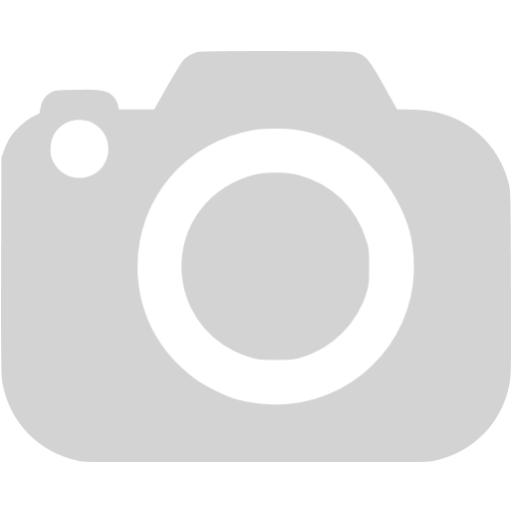 Light gray slr camera icon - Free light gray camera icons