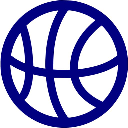 navy blue basketball