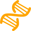 Orange dna helix icon - Free orange dna helix icons