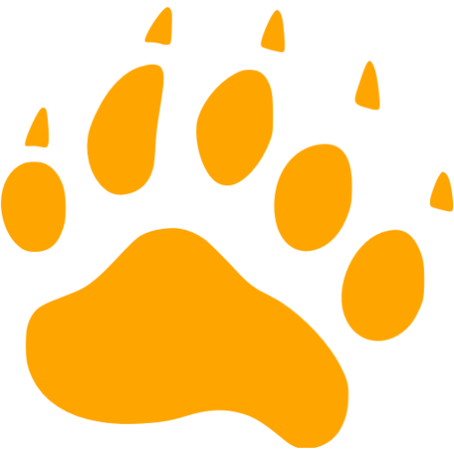 Orange footprints bear icon - Free orange footprint icons