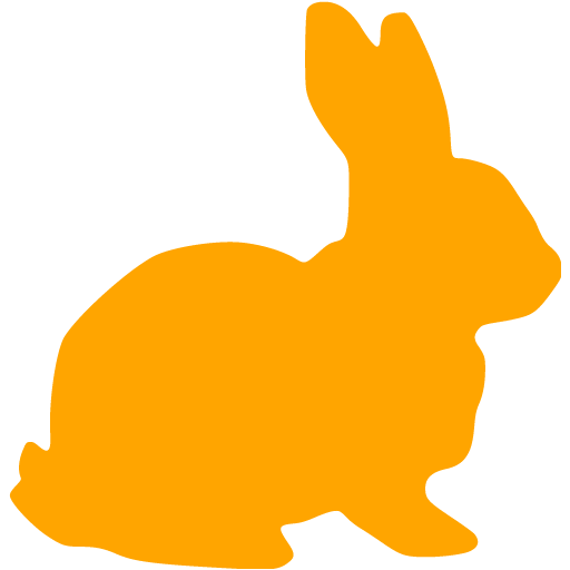 orange rabbit
