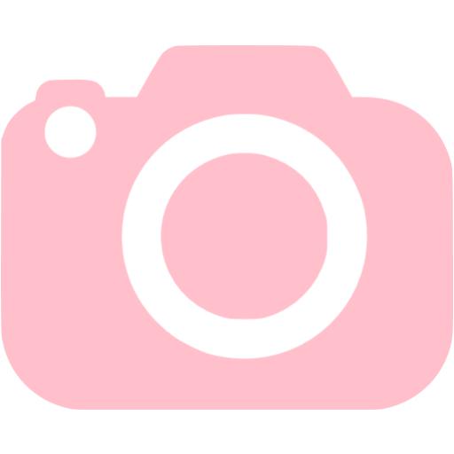 camera pink icon slr icons custom iconsdb