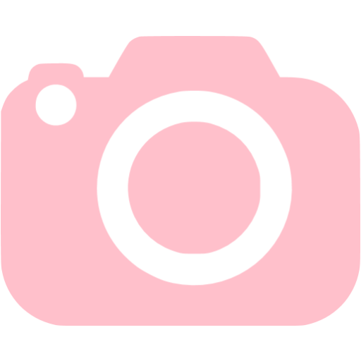 camera pink icon slr icons custom iconsdb