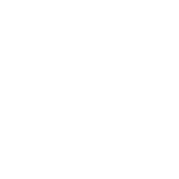 White apple icon - Free white site logo icons