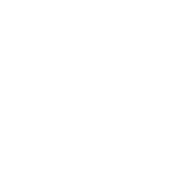 White camera 2 icon - Free white camera icons
