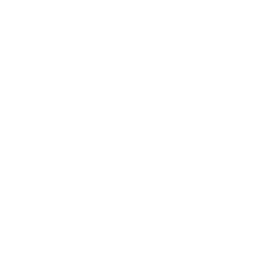 White cat icon - Free white animal icons