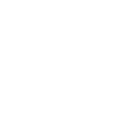 White chevrolet 2 icon - Free white car logo icons