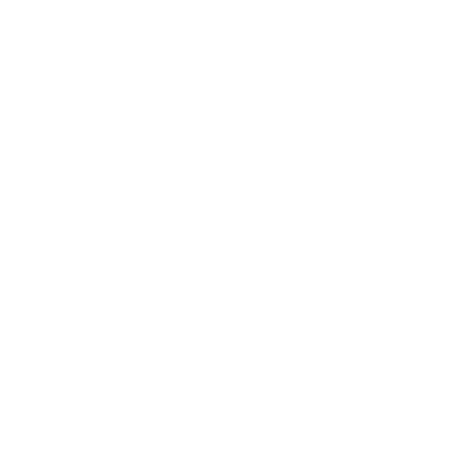 footprint png