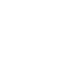 White hyundai icon - Free white car logo icons
