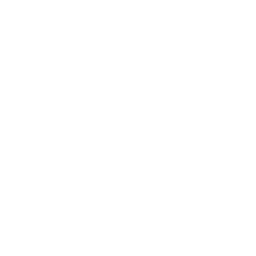 White puma 2 icon - Free white site logo icons