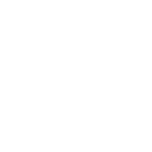 White Snow Flake