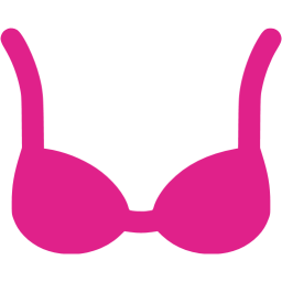 Barbie pink bra icon - Free barbie pink clothes icons