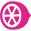 barbie pink citrus icon