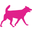 barbie pink dog 32 icon