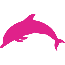 Pink dolphin barbie 2025
